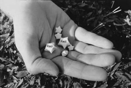 stars-raul2.jpg